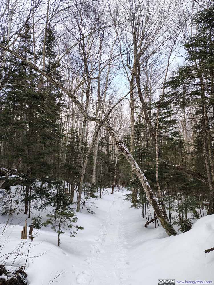 Trail