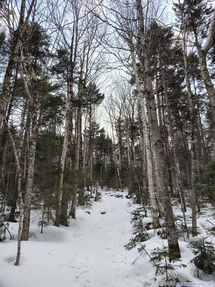 Trail