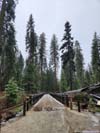 Boardwalk