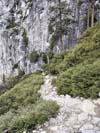 Trail