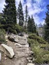 Trail