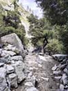 Trail