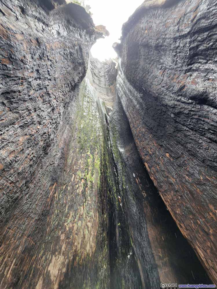 Interior of Telescope Tree