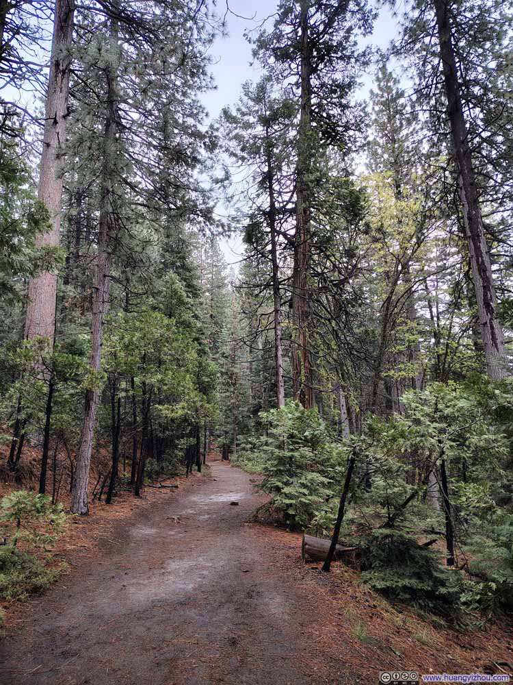 Trail