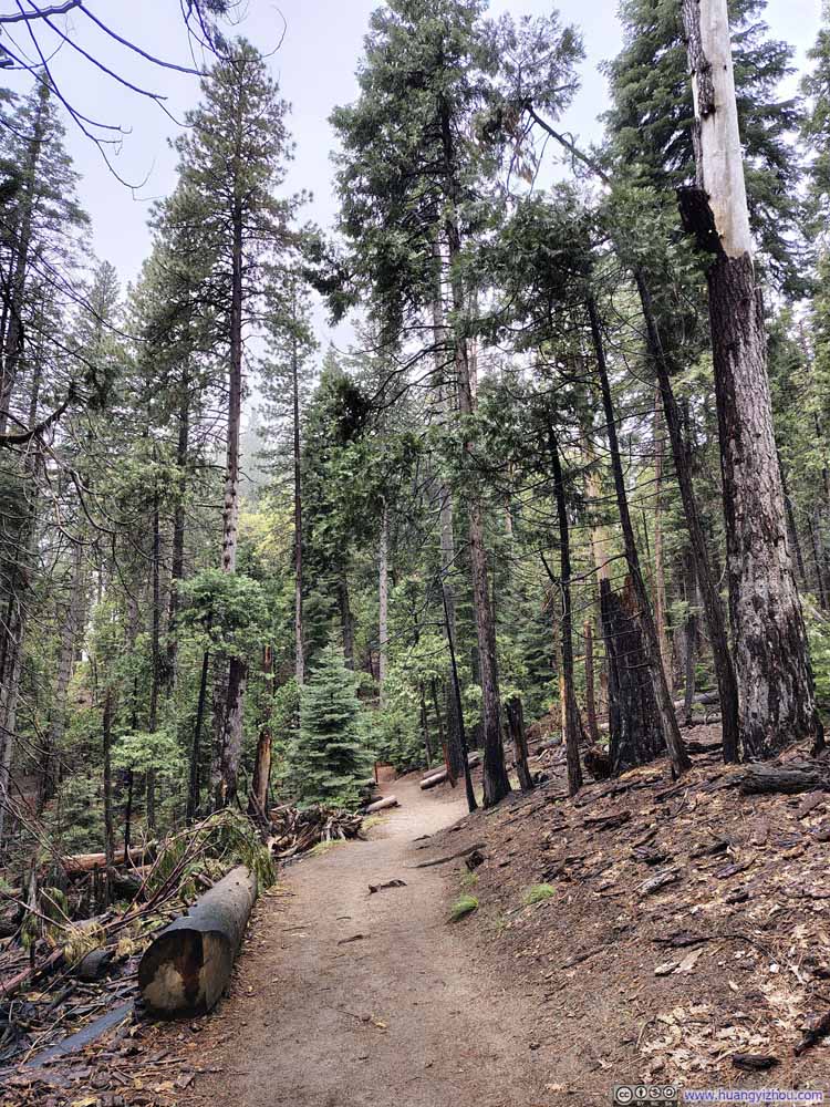 Trail