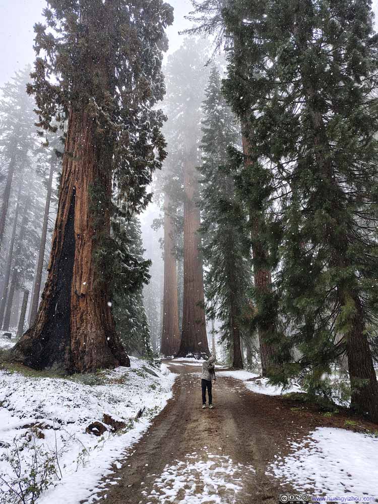 Trail