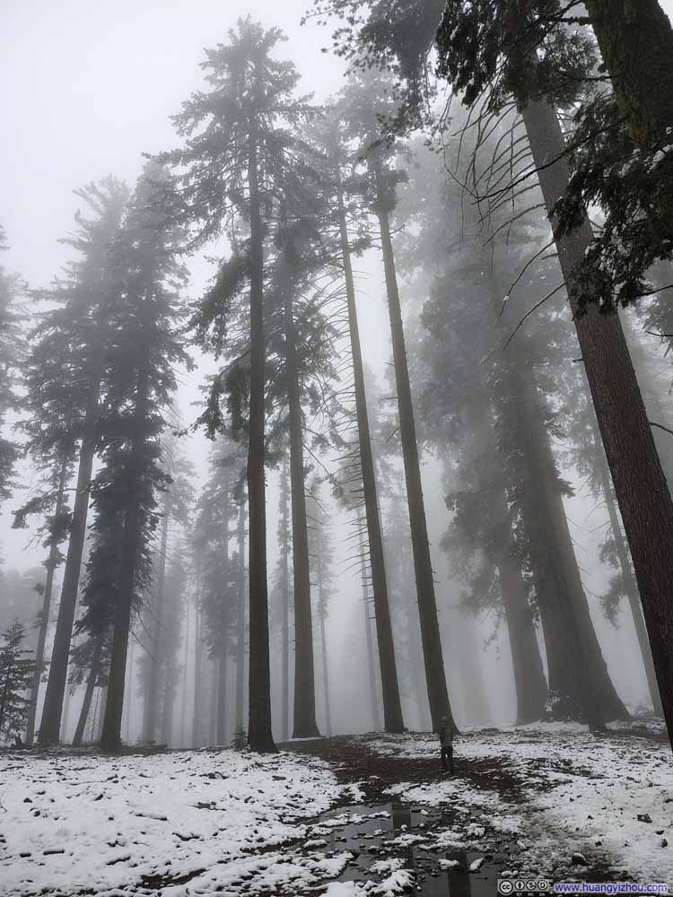 Trail