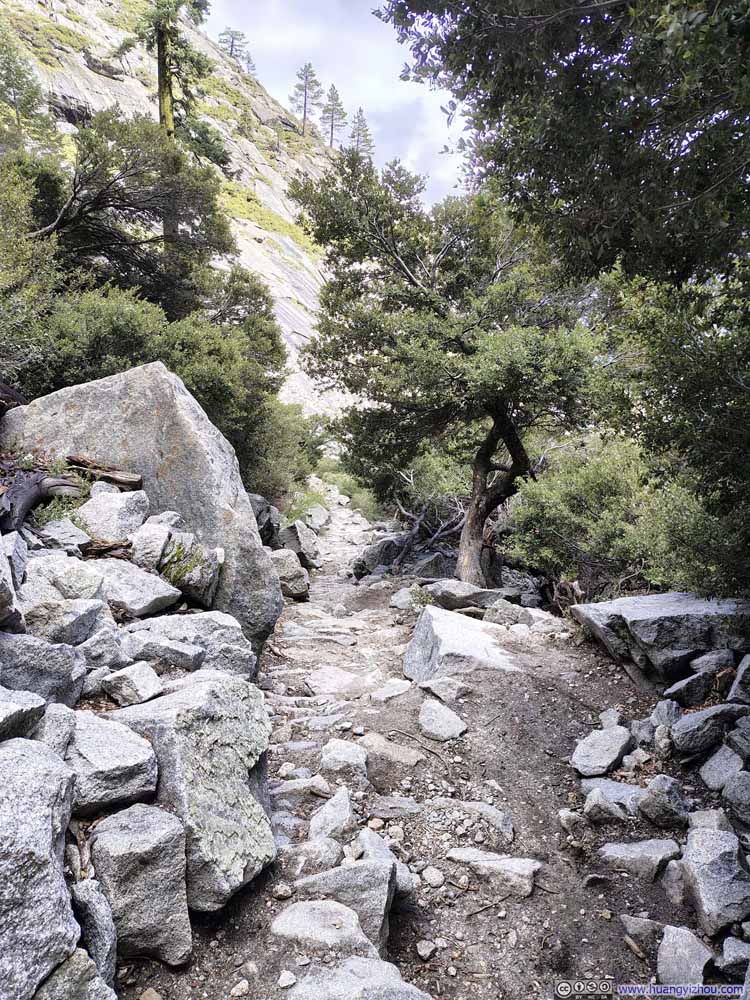 Trail