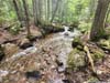Torrents along Whitin Brook