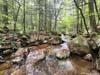 Crossing Whitin Brook