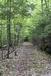 Trail