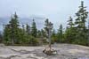 Summit of Mt Paugus