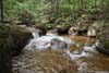 Torrents along Whitin Brook