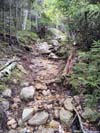 Water Flowing along Trail