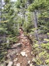 Trail