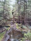 Muddy Trail