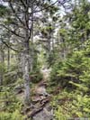 Trail