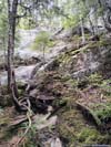Steep Rocky Trail