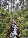Waterflow along Trail
