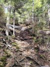 Trail