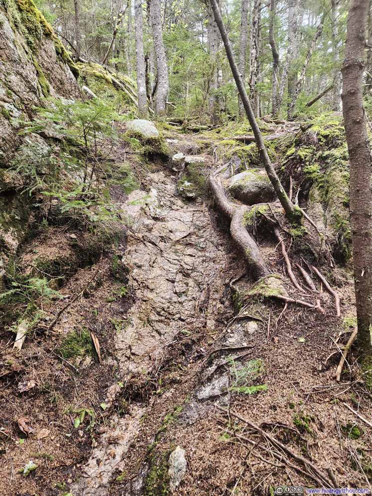 Wet Trail on Rocks