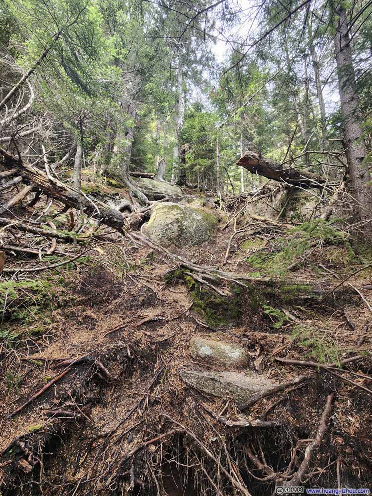 Steep Trail