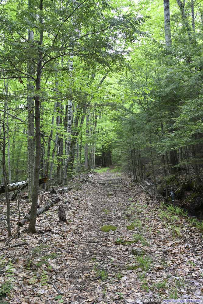 Trail