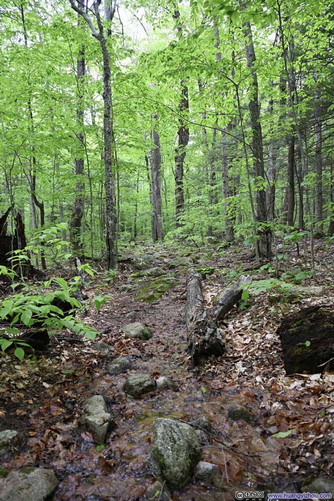 Wet Trail