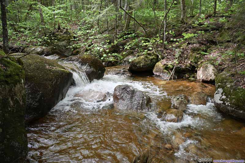 Torrents along Whitin Brook