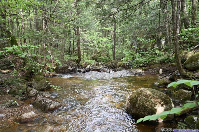 Whitin Brook