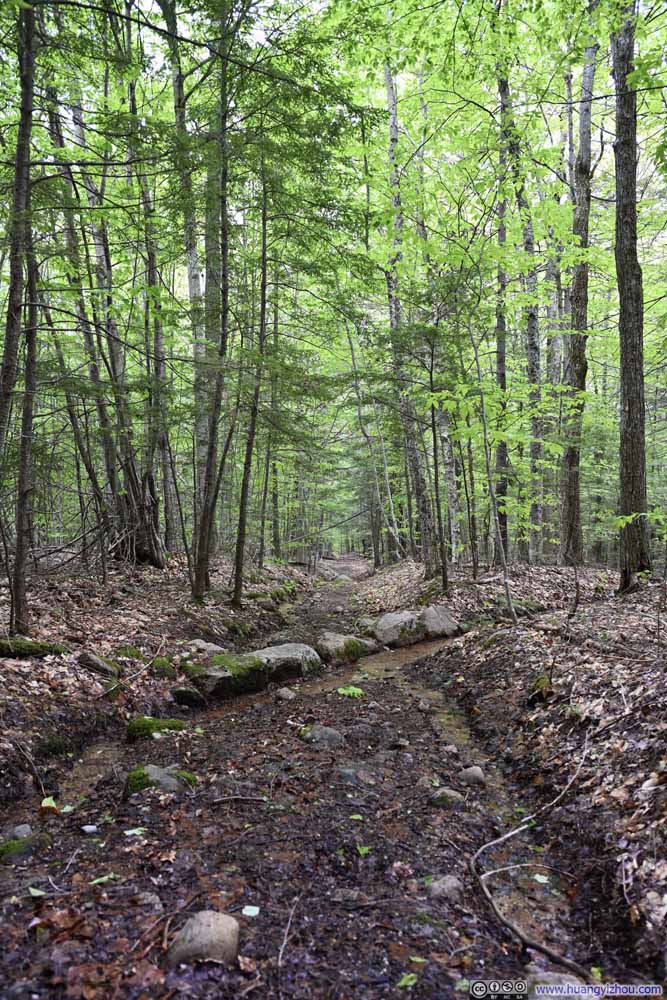 Trail