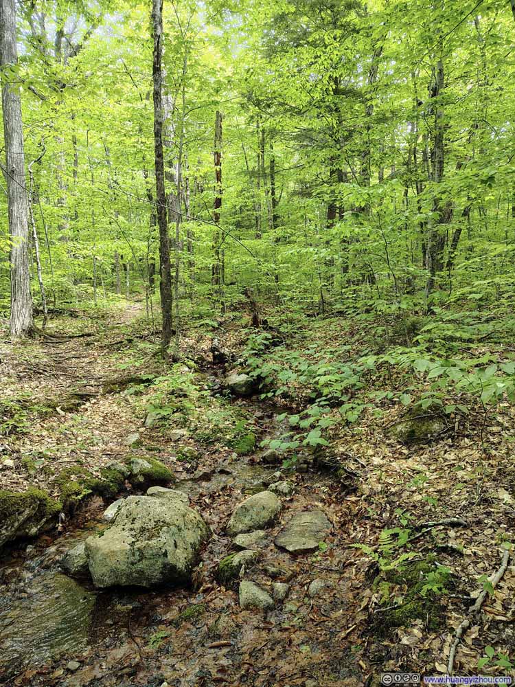 Small Creek Crossing Trail