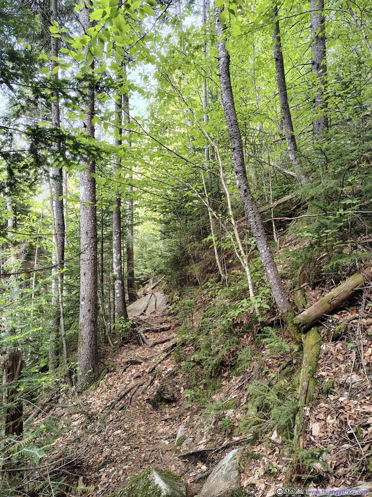Narrow Trail