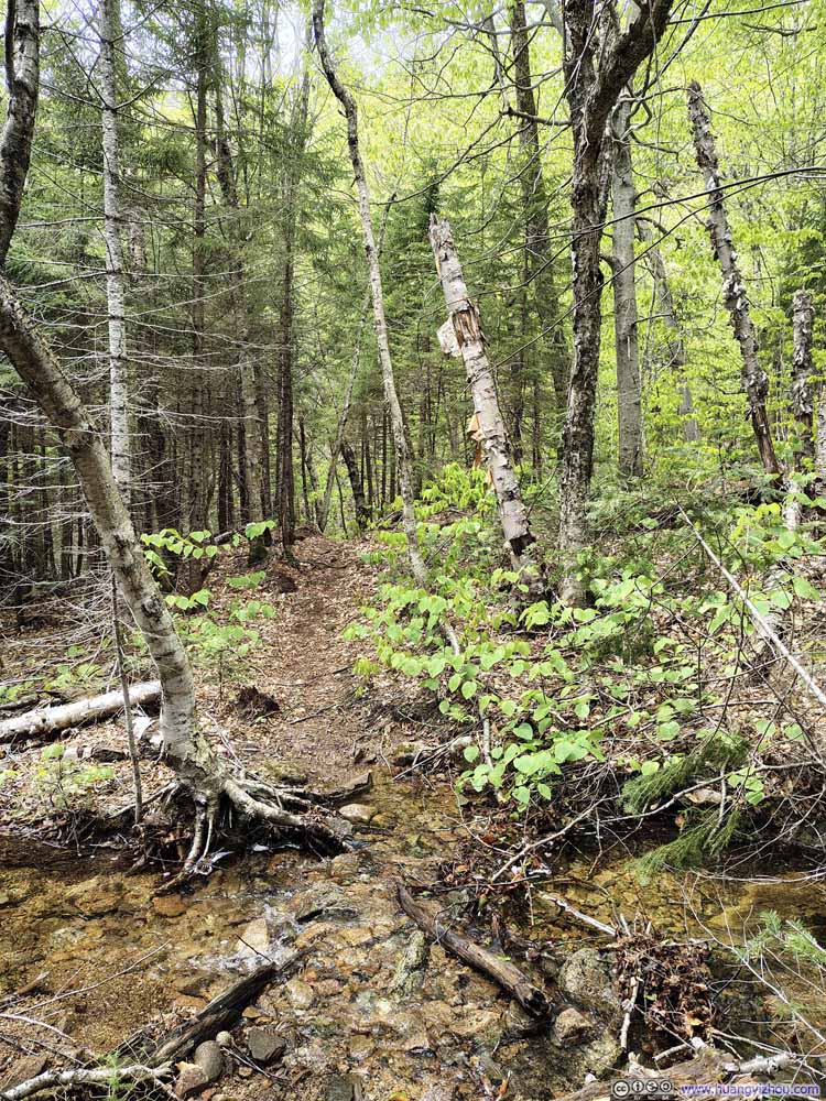 Small Creek Crossing Trail