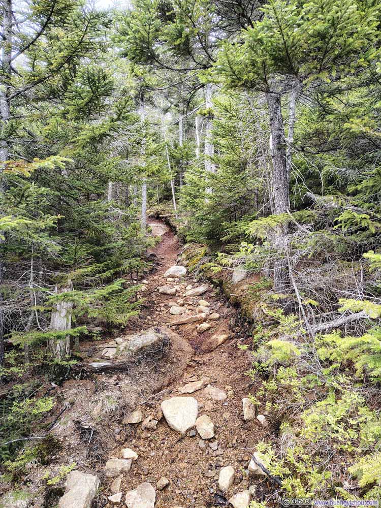 Trail