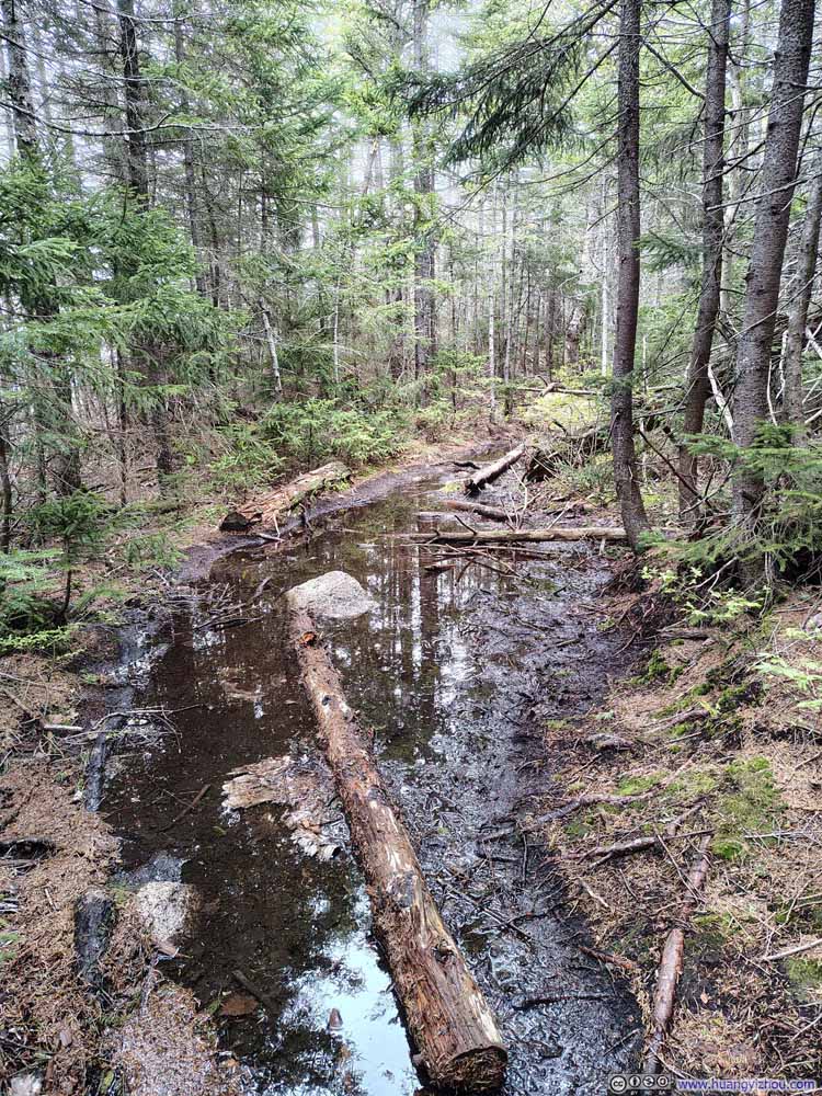 Muddy Trail