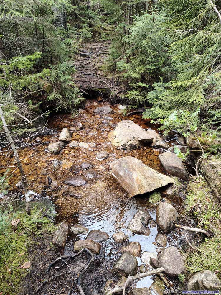 Water Crossing along Trail