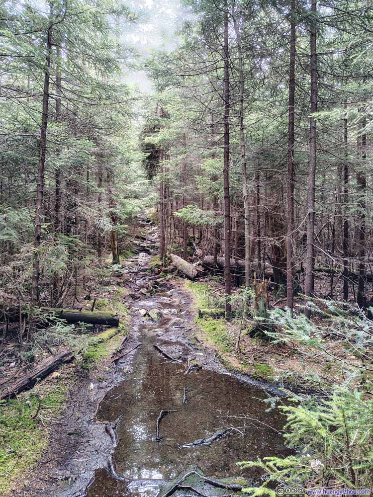 Muddy Trail