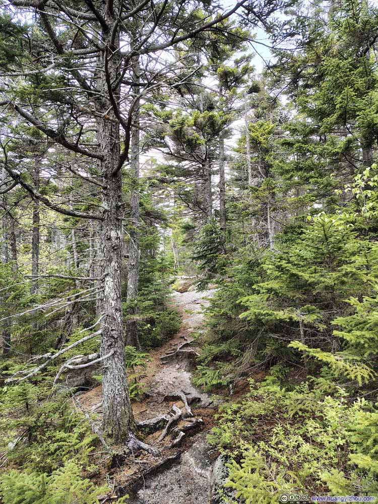 Trail