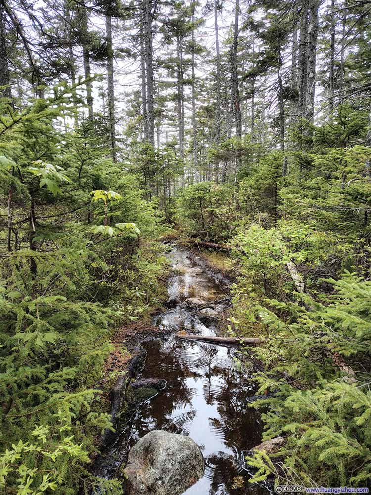 Waterflow along Trail