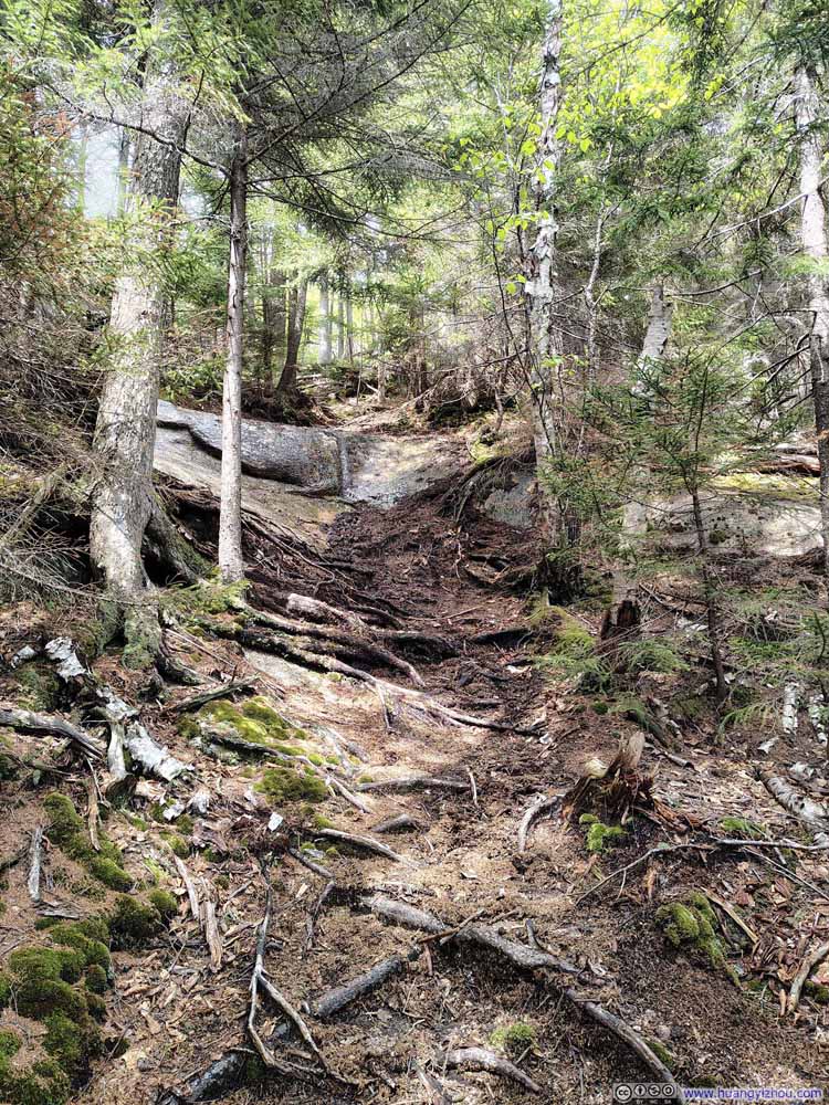 Trail