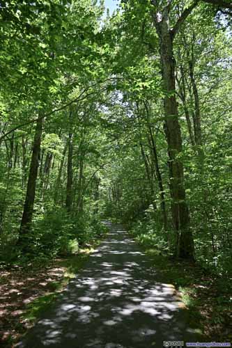 Bike Path