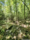 Water Crossing
