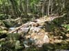 Crossing Flume Brook