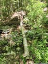 Crossing Flume Brook