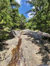 Steep Part along Flume Slide Trail