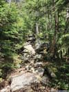 Trail
