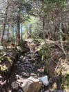 Trail