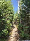 Trail
