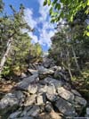 Trail